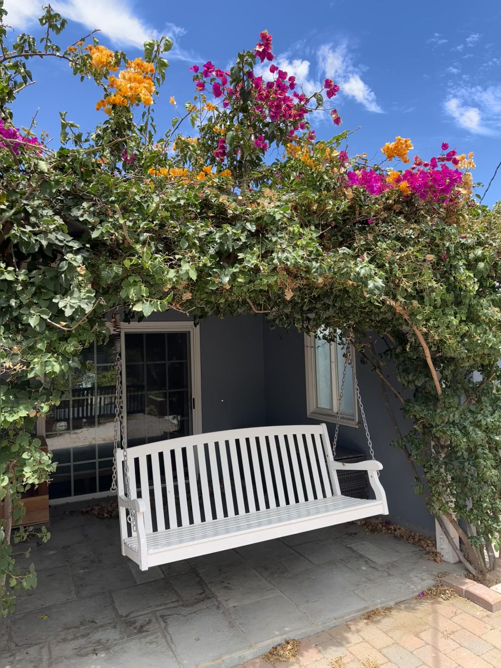 A white porch swing under a canopy of bougainvillea